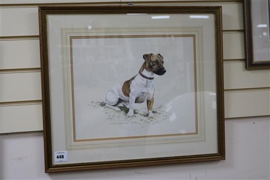 Alexandra McMaster, two watercolours, studies of Jack Russell Terriers, signed and dated 1988/1993, 30 x 37cm